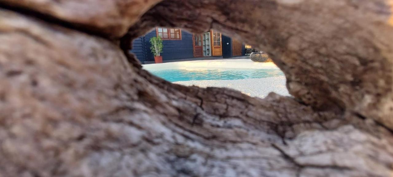 Villa Los Guirres Tazacorte Esterno foto